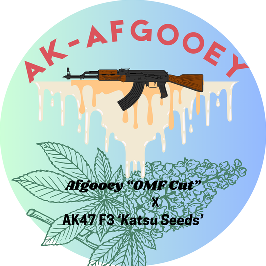 Afgooey (OMF Cut) x AK-47 (Katsu F3)