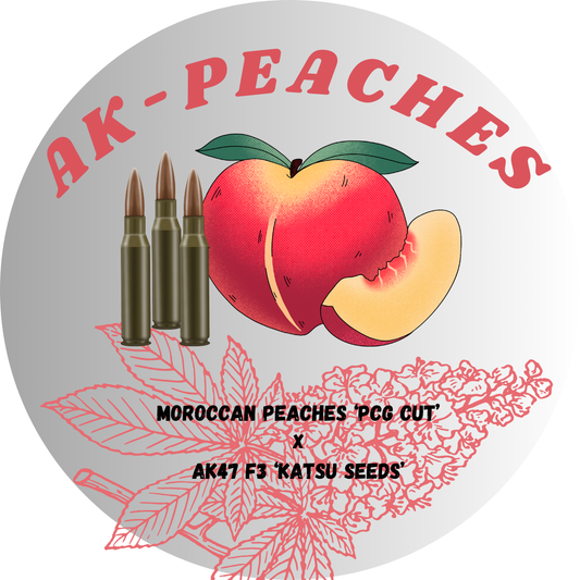 Moroccan Peaches x AK-47