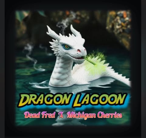 Dragon Lagoon