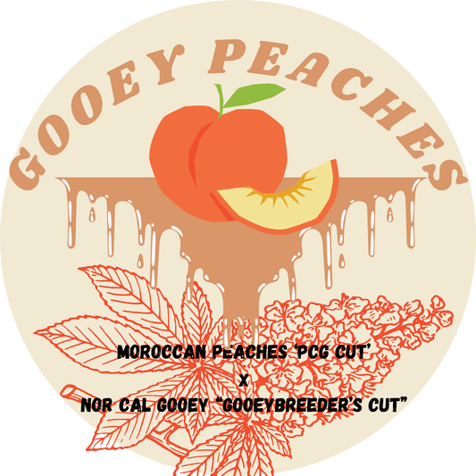Gooey Peaches
