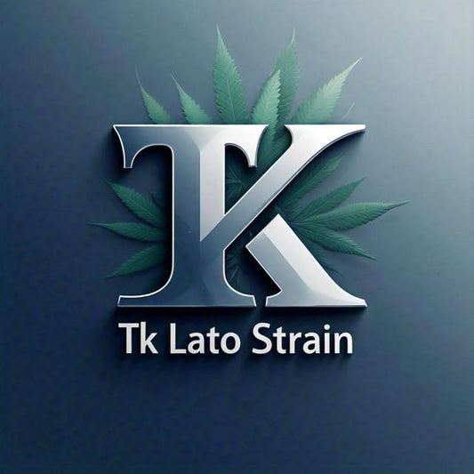 Tk Lato IBL